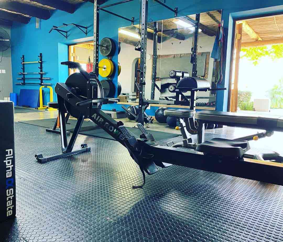 Alpha clearance gym equipment